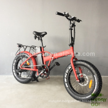 Hot Selling Folding Electric Bike with 4.0 Fat Tire